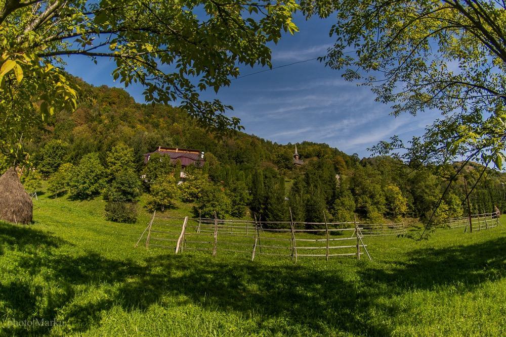 Vila Flora Viseu De Jos Bagian luar foto